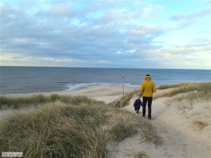 Nach Westen blickt von den Dünen man auf die Nordsee und den schönen einsamen Strand