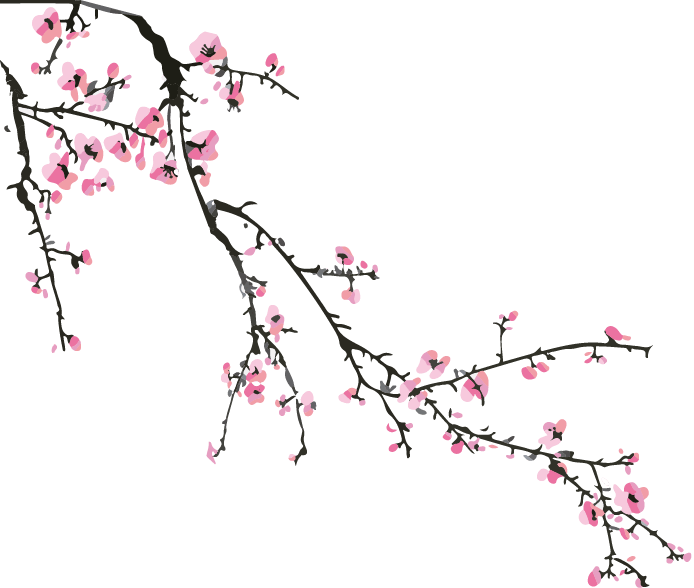 Sakura de schoonheid van vergankelijkheid