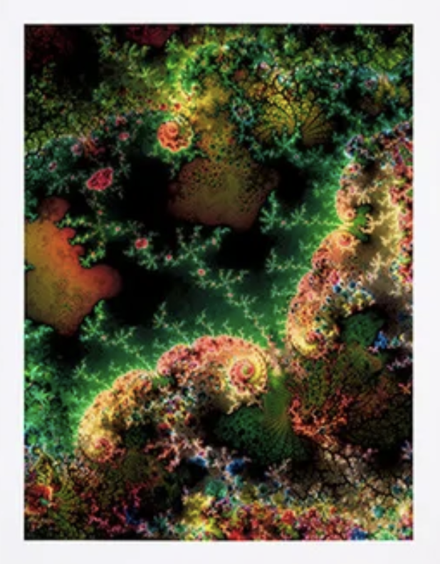 d.o.p.e by Thomas Ruff | the-w-collection.be