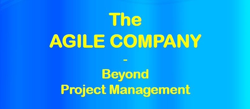 The agile company