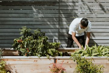 Optimera din trädgård med Guldkannan: En revolutionerande kombination av vattenkanna och potta