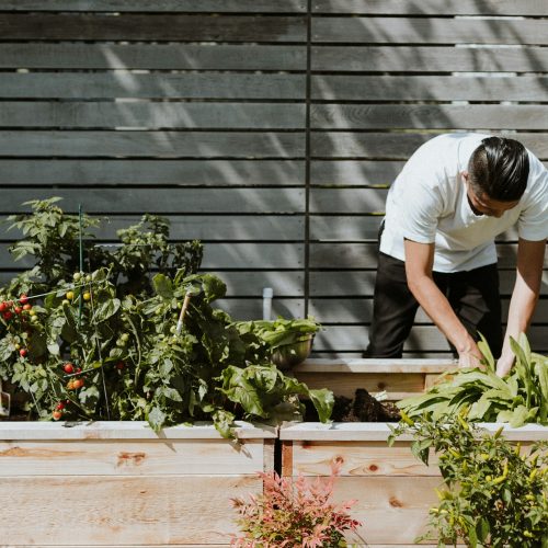 Optimera din trädgård med Guldkannan: En revolutionerande kombination av vattenkanna och potta
