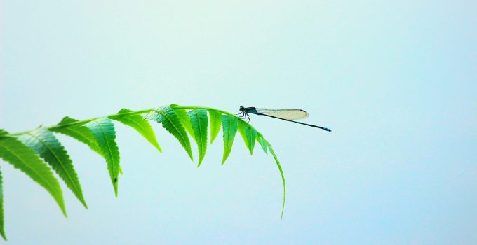 Brisons les Codes : Comment le Choix d'un Papier Plus Fin Peut Faire une Grande Différence pour la Planète !