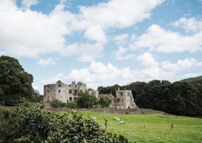 A distant view of Barden Tower with sheep in the field in front.