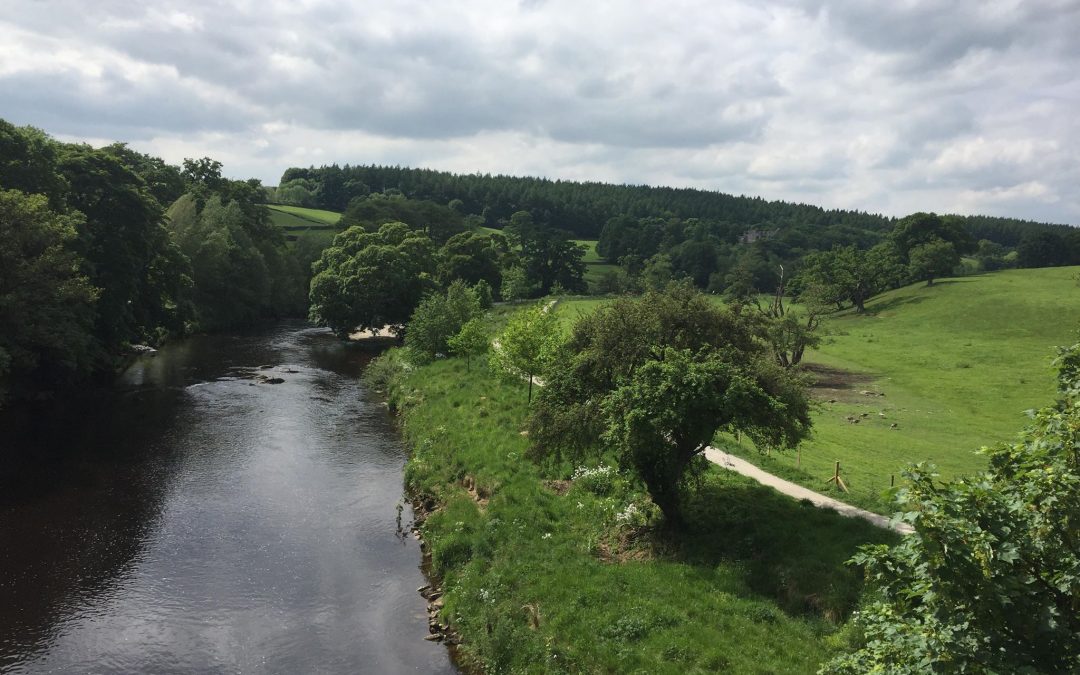 Strid Woods