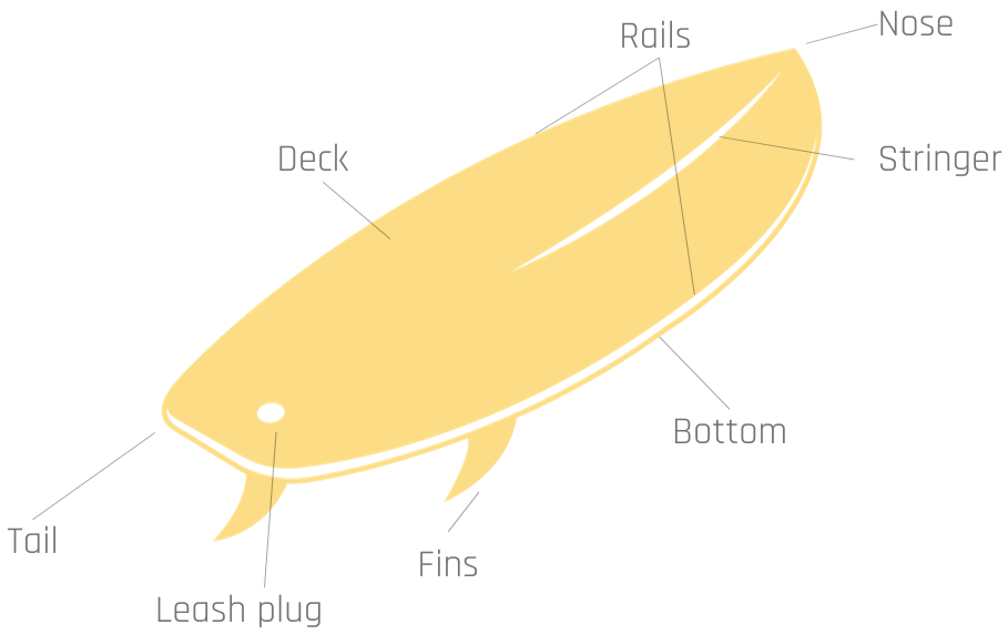 Surfboard anatomy The parts of a surfboard explained
