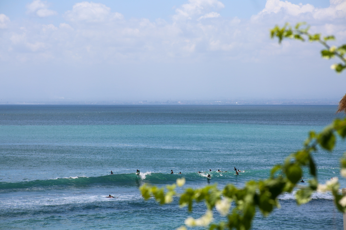 Surfers in the ocean