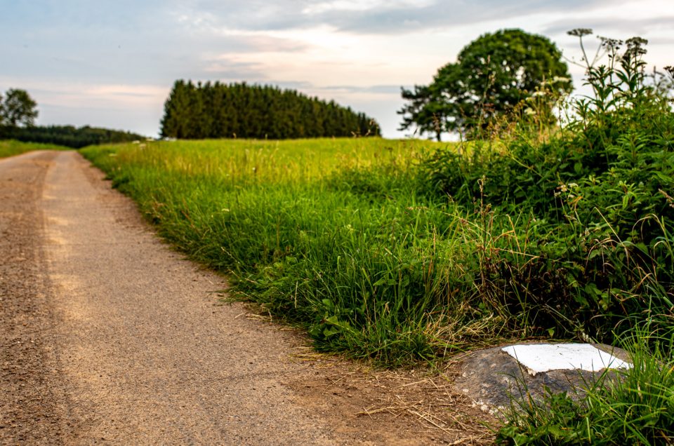 Detail of the highest point of Luxembourg - Kneiff