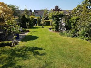 Grass Cutting Service Solihull Birmingham