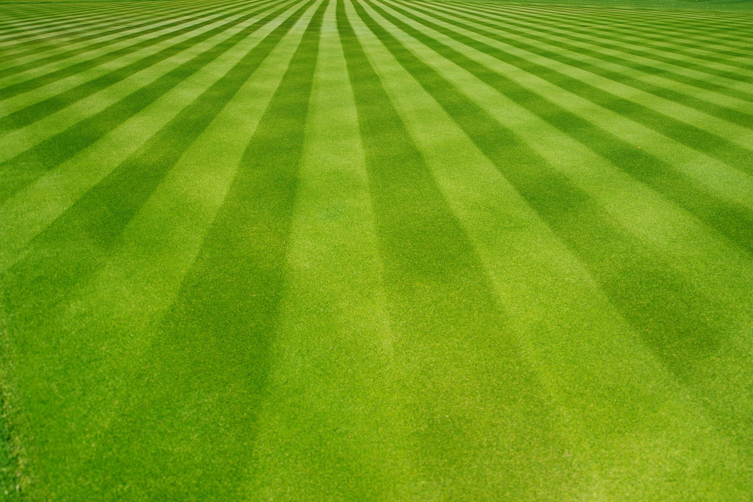 grass/lawn cutting