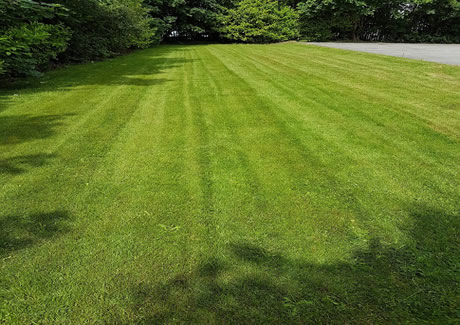 Lawn Mowing Service Solihull