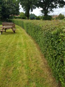 Hedge maintenance