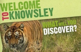 Knowsley Safari Park