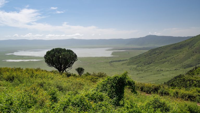 Drone view of Tanzania - Ngorongoro Conservation Area