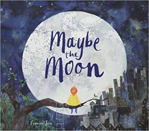 Maybe the Moon Book