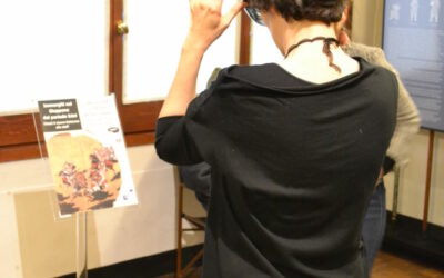 News - en New experiences for Oriental Art museum of Venice
