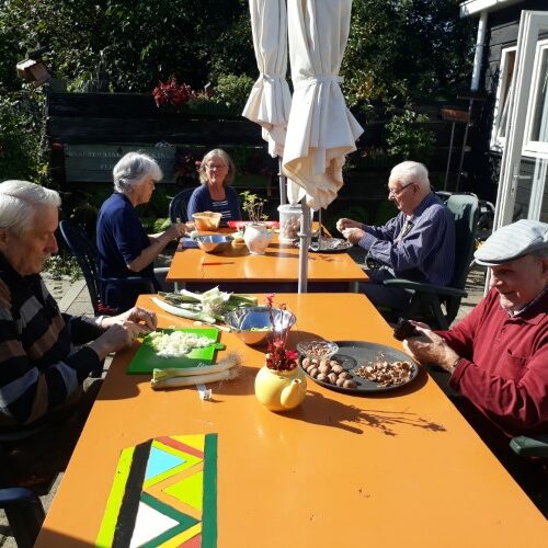 gastouderopvang kinderen opvang ouderen theetuin koewacht terras zorg