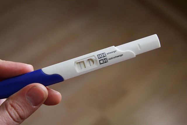 Pregnant - The family naturopath