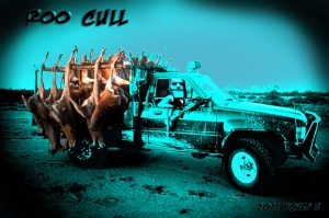 2015-Round-03-Roo-Cull