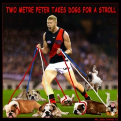 2021-RD21-Wright-Dog-Stroll