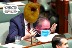 2021-Barnaby-Mask