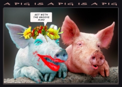 2021-Pigs