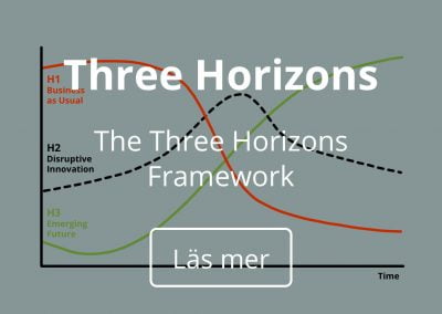 The Three Horizons Framework