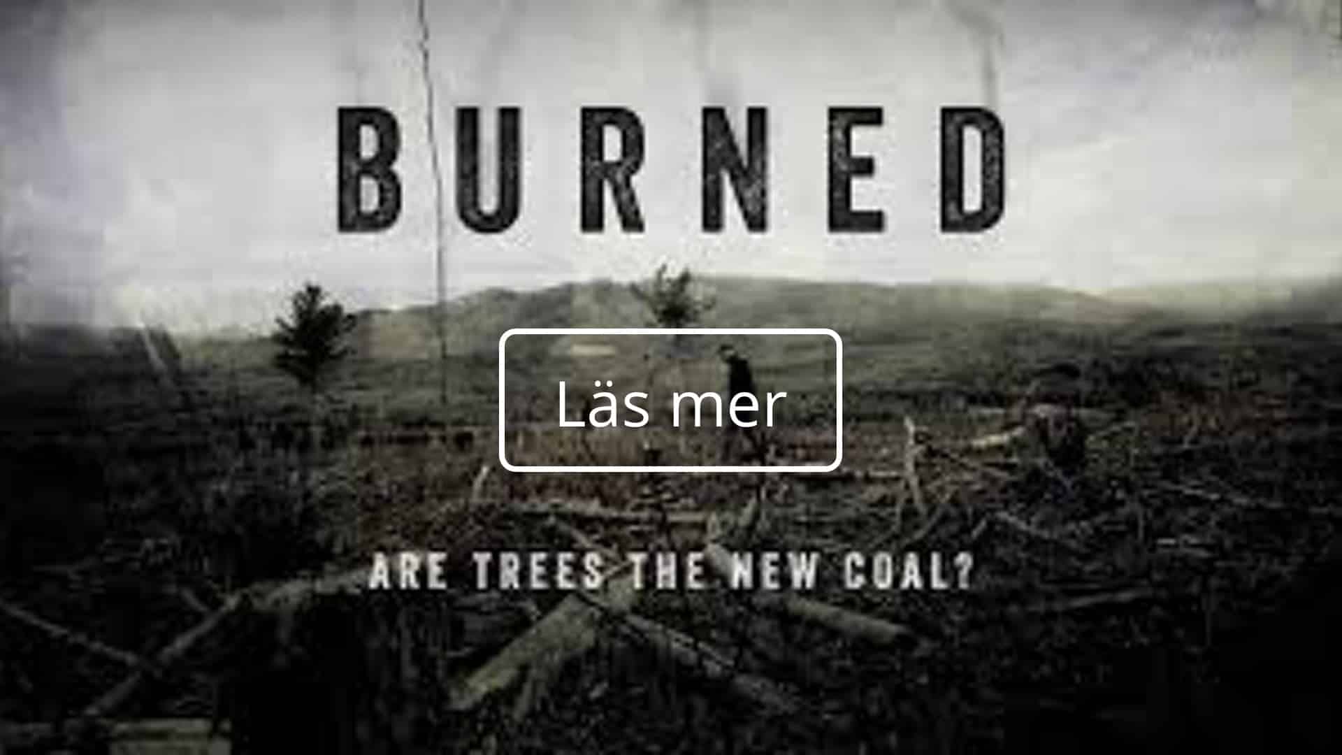 thefuture, resurs, Burned, Are Trees the new coal