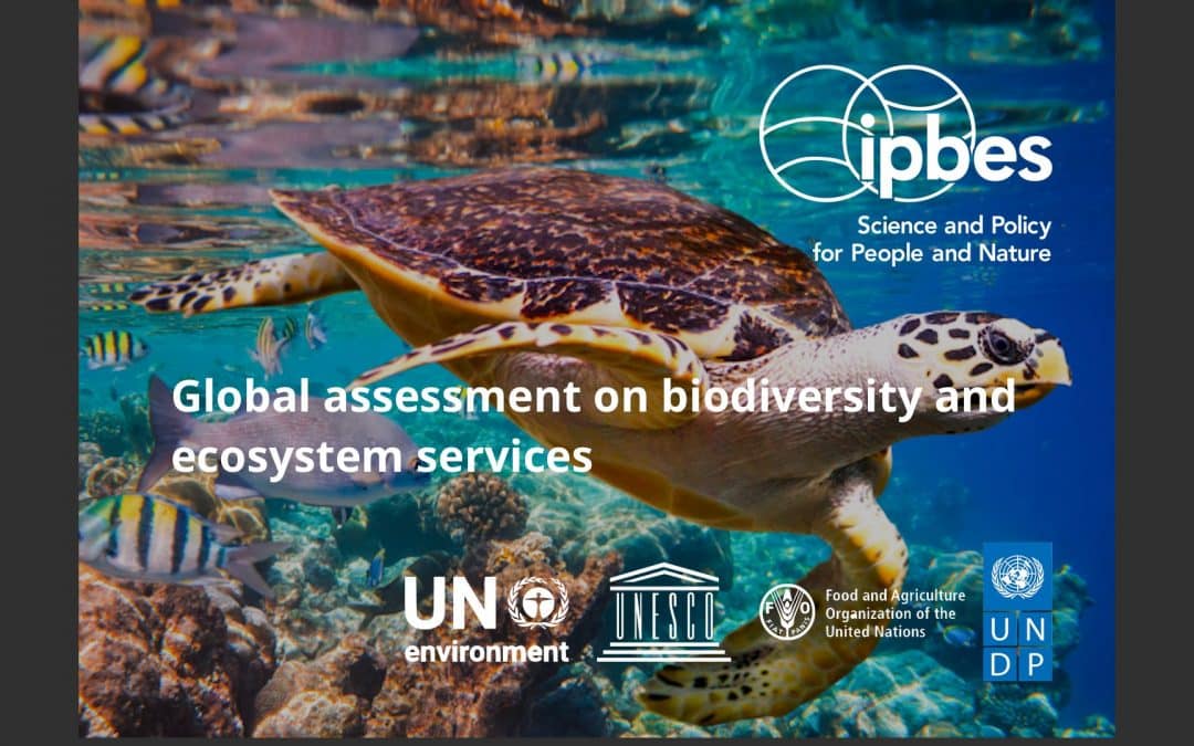 IPBES, Global assessment on biodiversity and ecosystem services