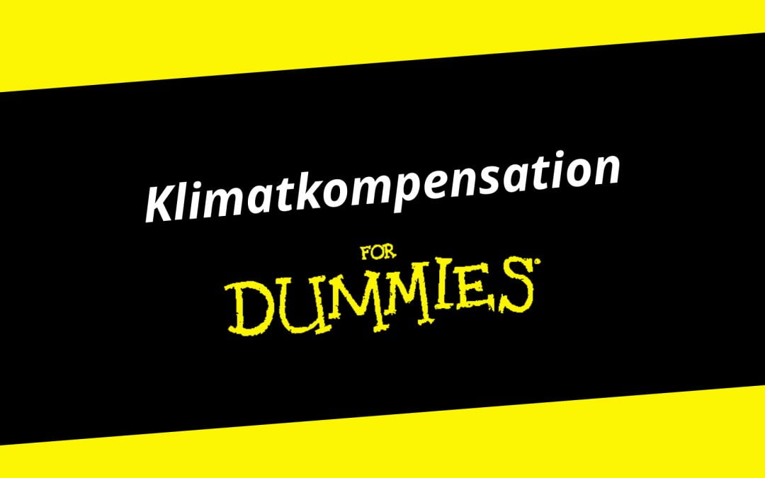 Klimatkompensation for Dummies