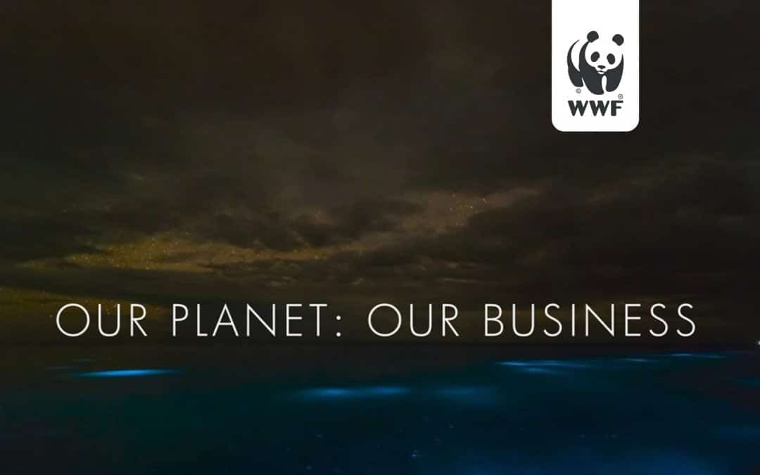 Our Planet: Our Business