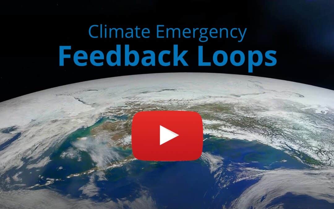 Feedback Loops