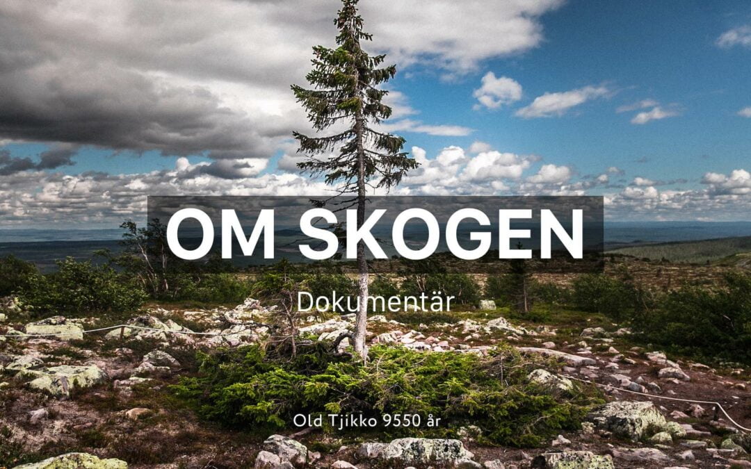 Om Skogen