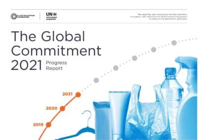 The Global Commitment 2021 Progress Report