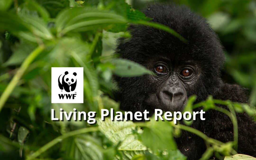 Living Planet Report