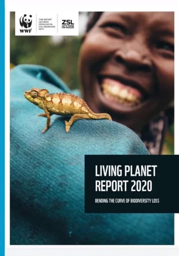 thefuture, WWF_LPR_2020