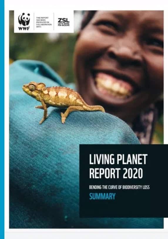 thefuture, WWF_LPR_2020_Summary