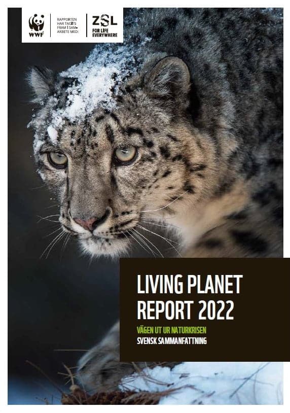 thefuture, WWF_LPR_Sv-rapport