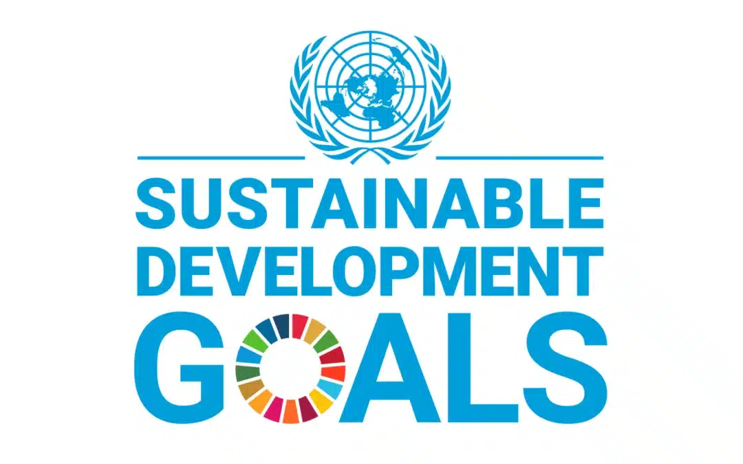 The Sustainable Development Goals Report