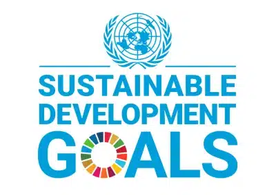 The Sustainable Development Goals Report