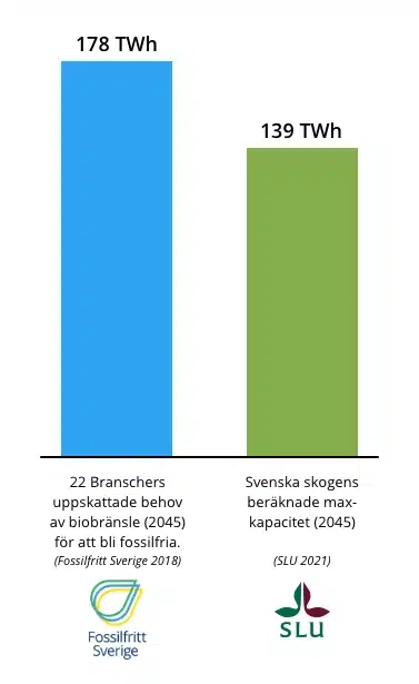 Behov och tillgång av Biobränsle