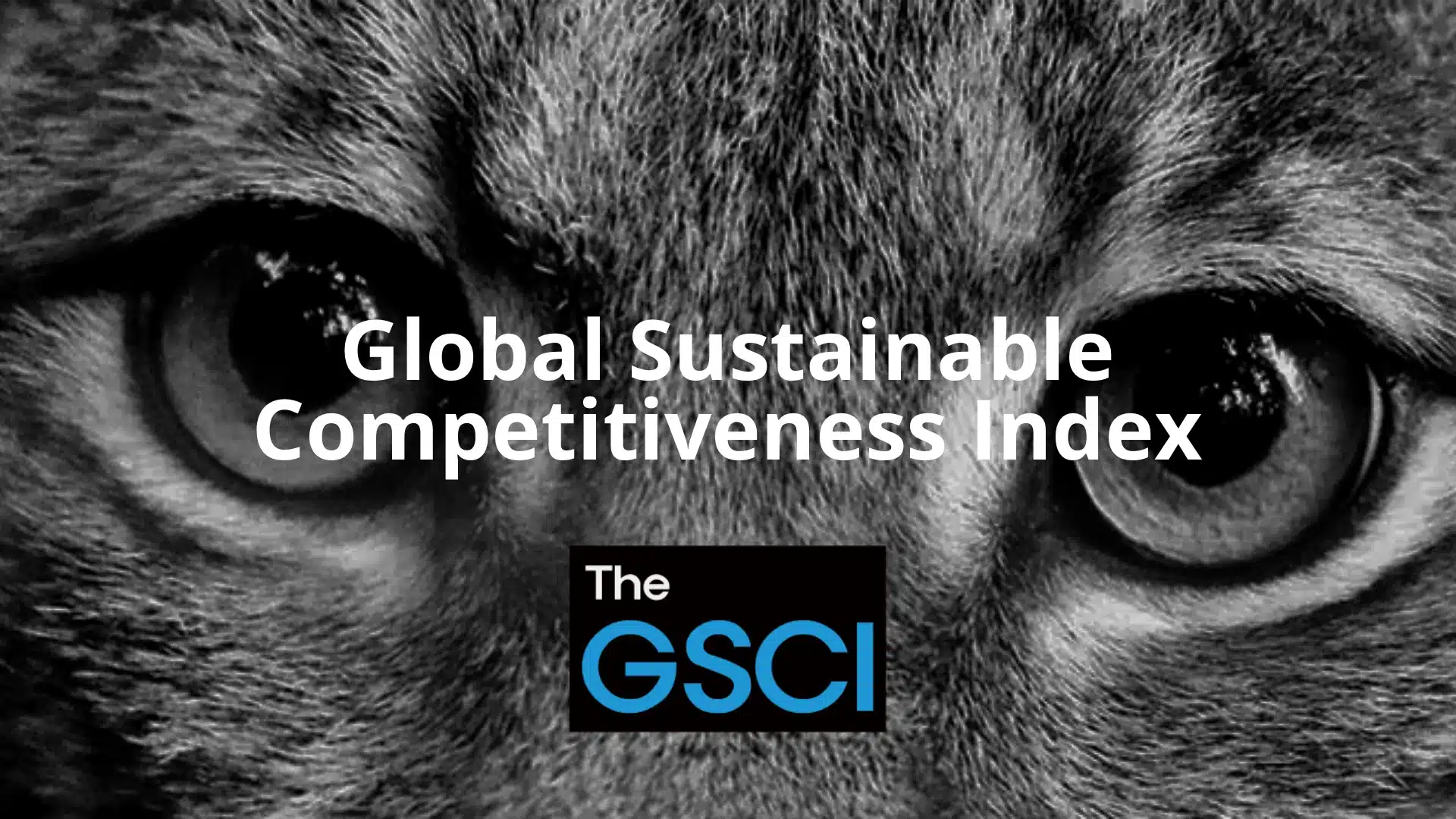 Global Sustainable Competitiveness Index - Thefuture