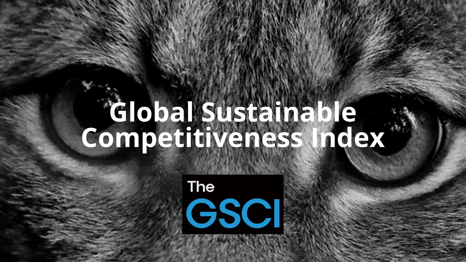 thefuture, Resurs, Global Sustainable Competitiveness Index