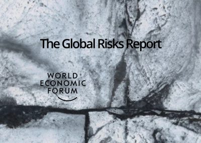 The Global Risks Report