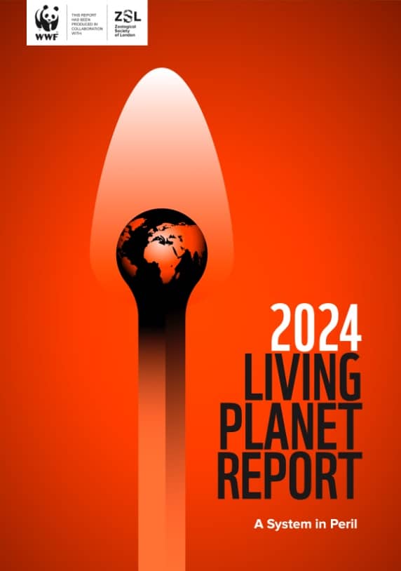 thefuture, WWF_LPR_2024_Executive_Summary