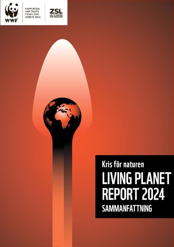 thefuture, WWF_LPR_2024_Svensk_sammanfattning