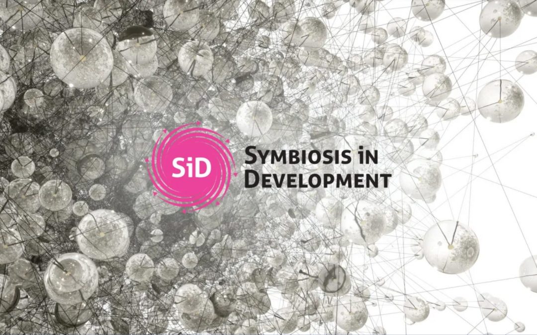 Symbiosis in Development