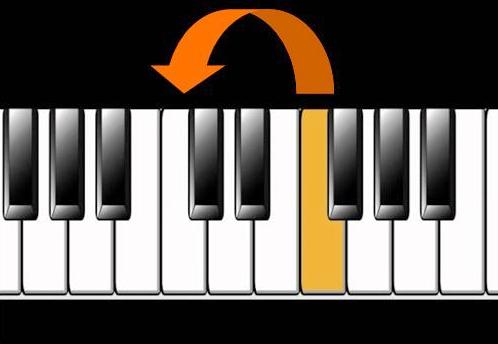 Transposing backing trak Biab