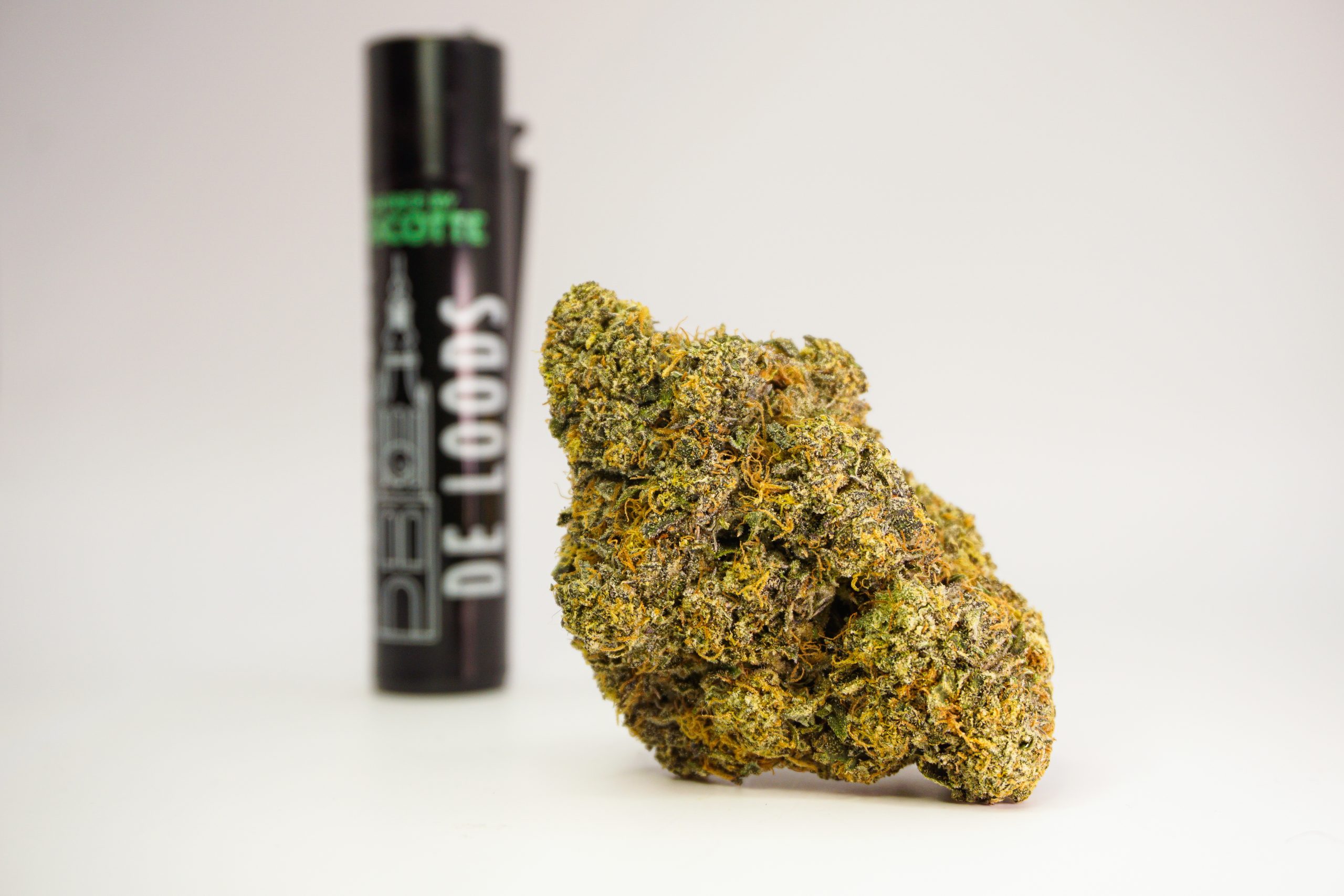 Rainbow Sherbert ‘RS11’ – Coffeeshop De Loods