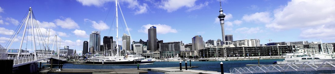 Auckland Skyline
